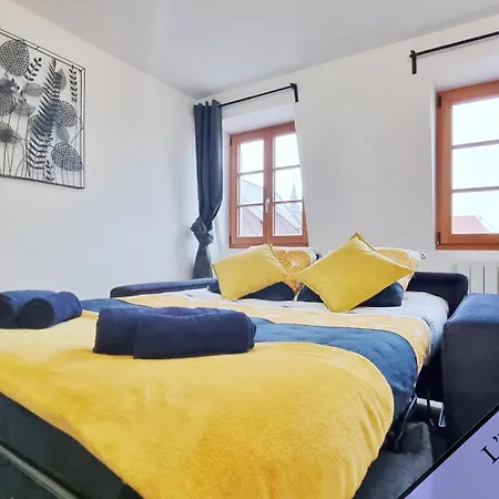 Les Appartements Charme Et Elegance Sainte-Croix-en-Plaine Extérieur photo